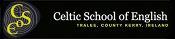 celtic school